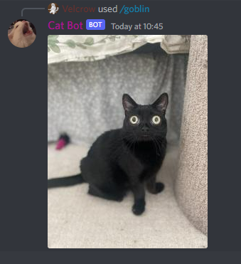 catbots "goblin" command